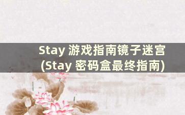 Stay 游戏指南镜子迷宫(Stay 密码盒最终指南)